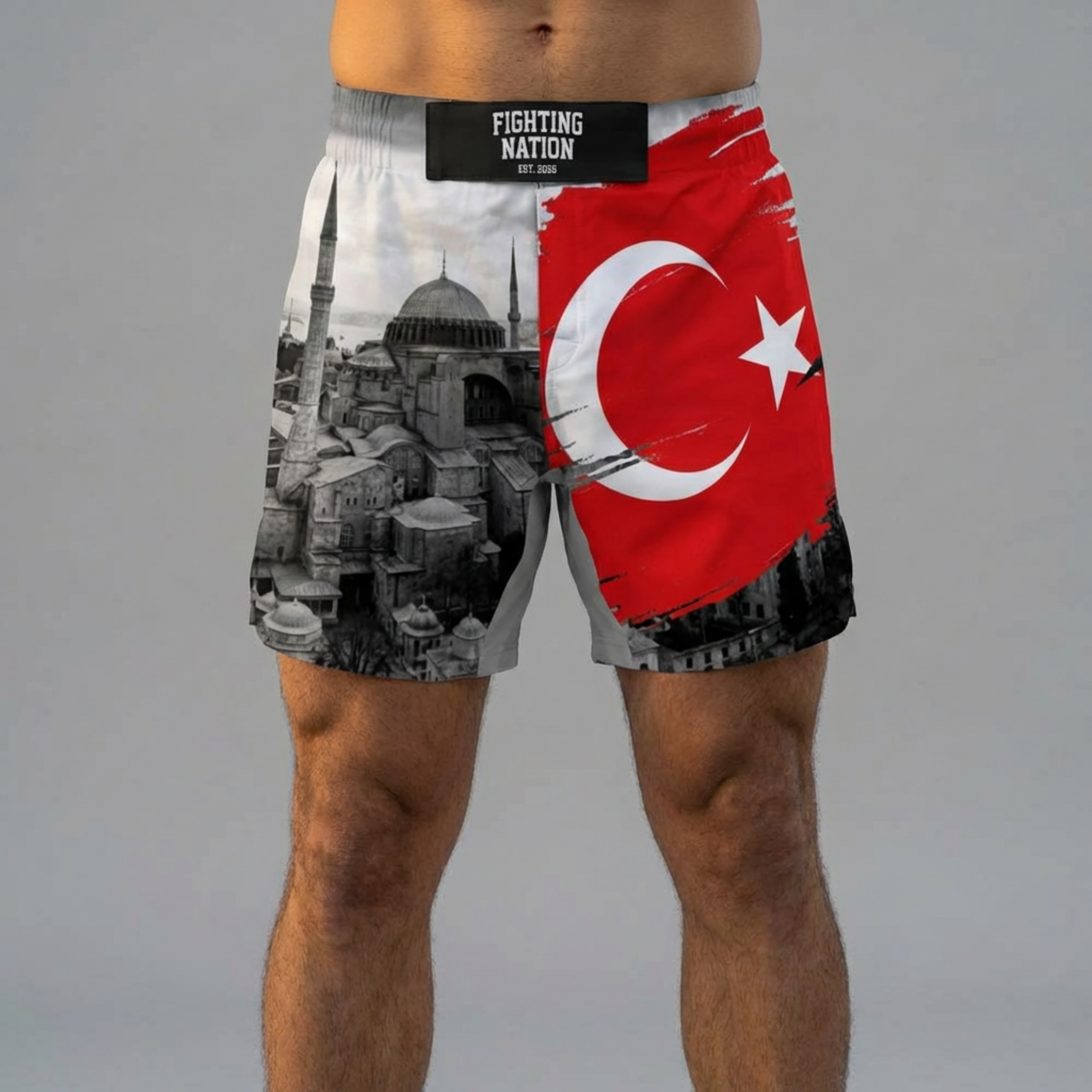 Fight Shorts