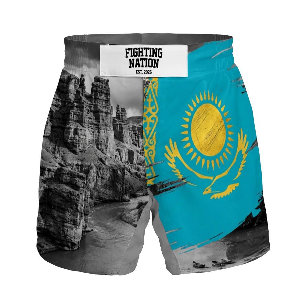 Performance du pays (Kazakhstan)